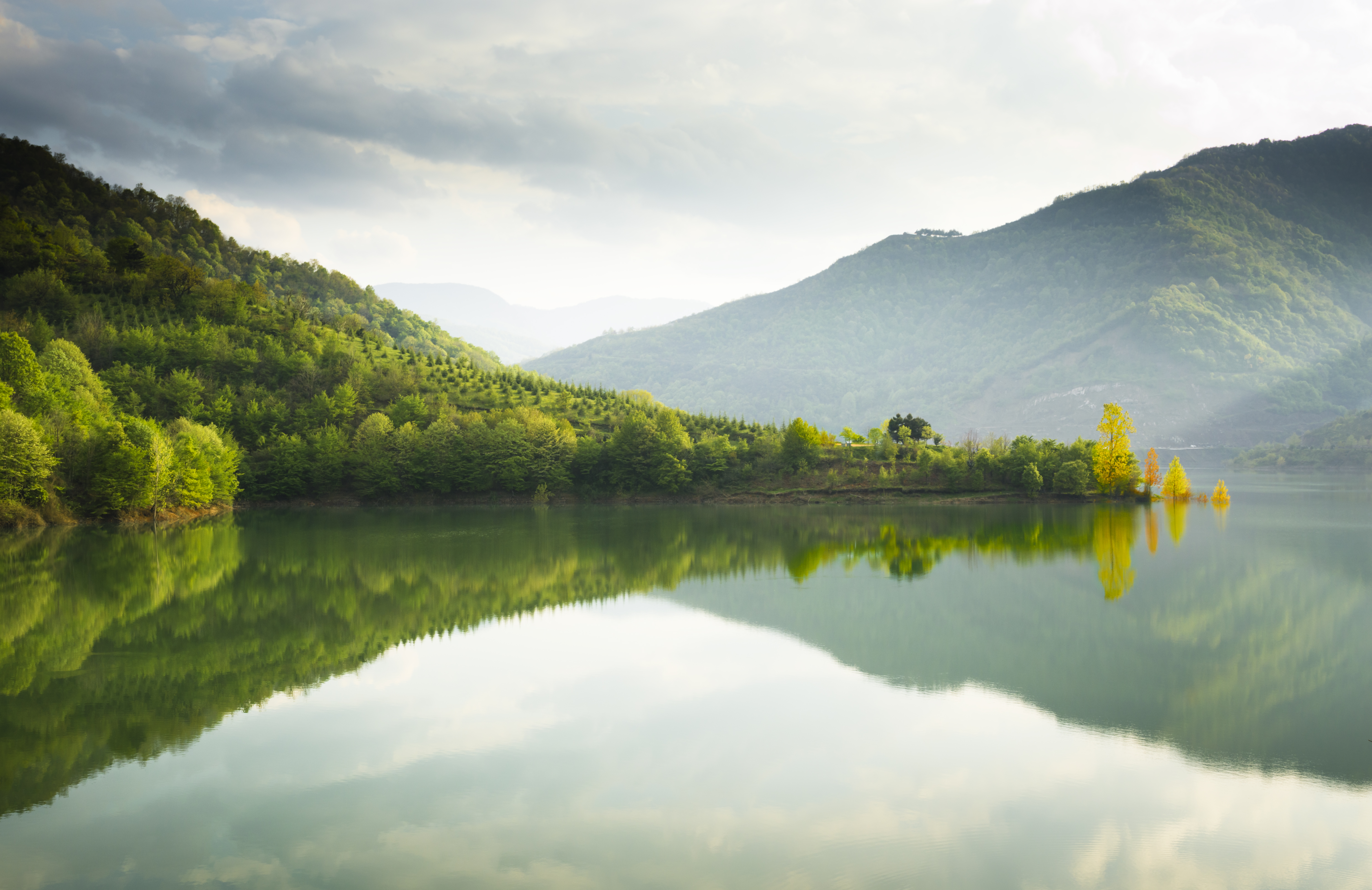 Our commitment to sustainability