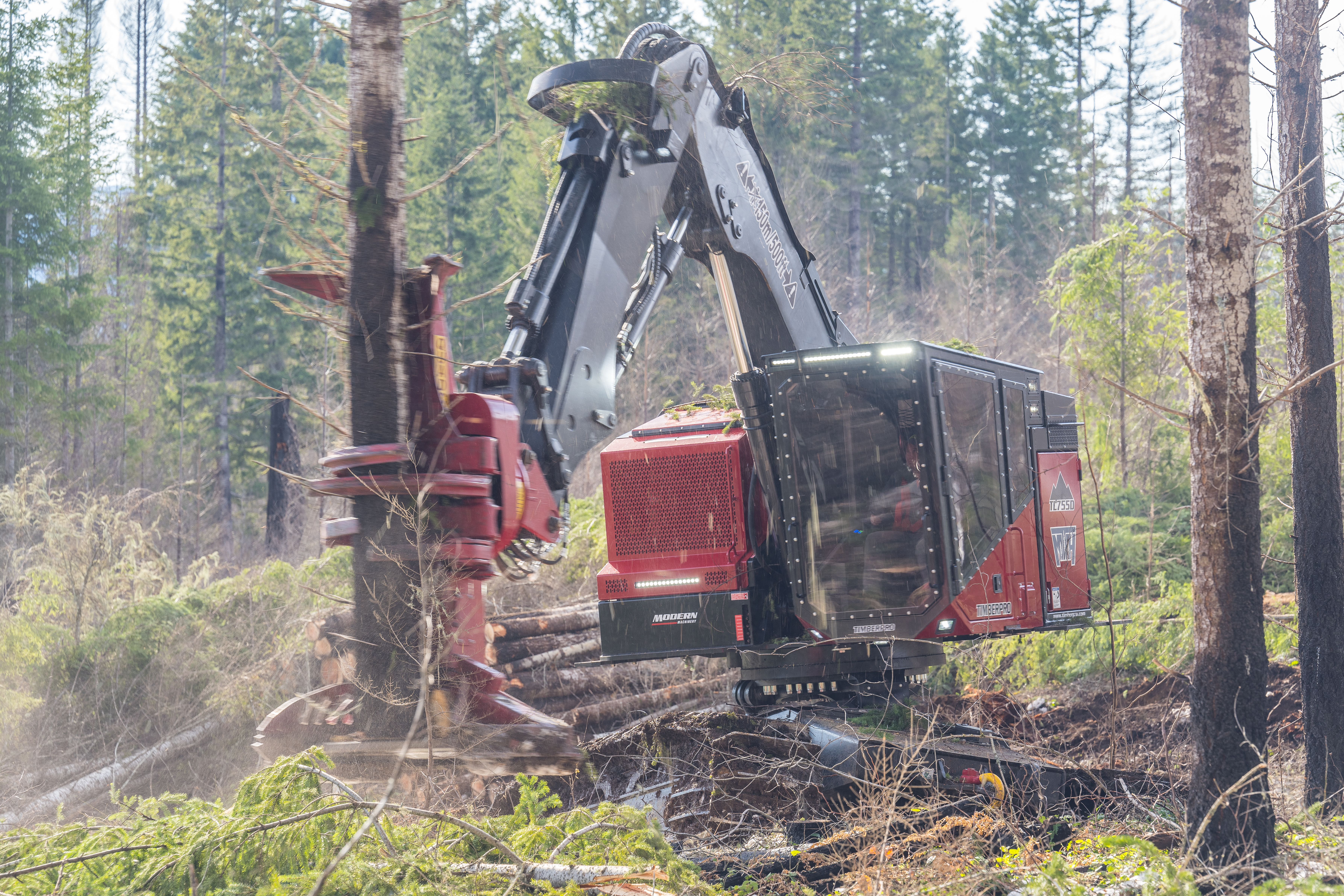 Timberpro from Casey Tree
TL755, tracked feller buncher​​​​