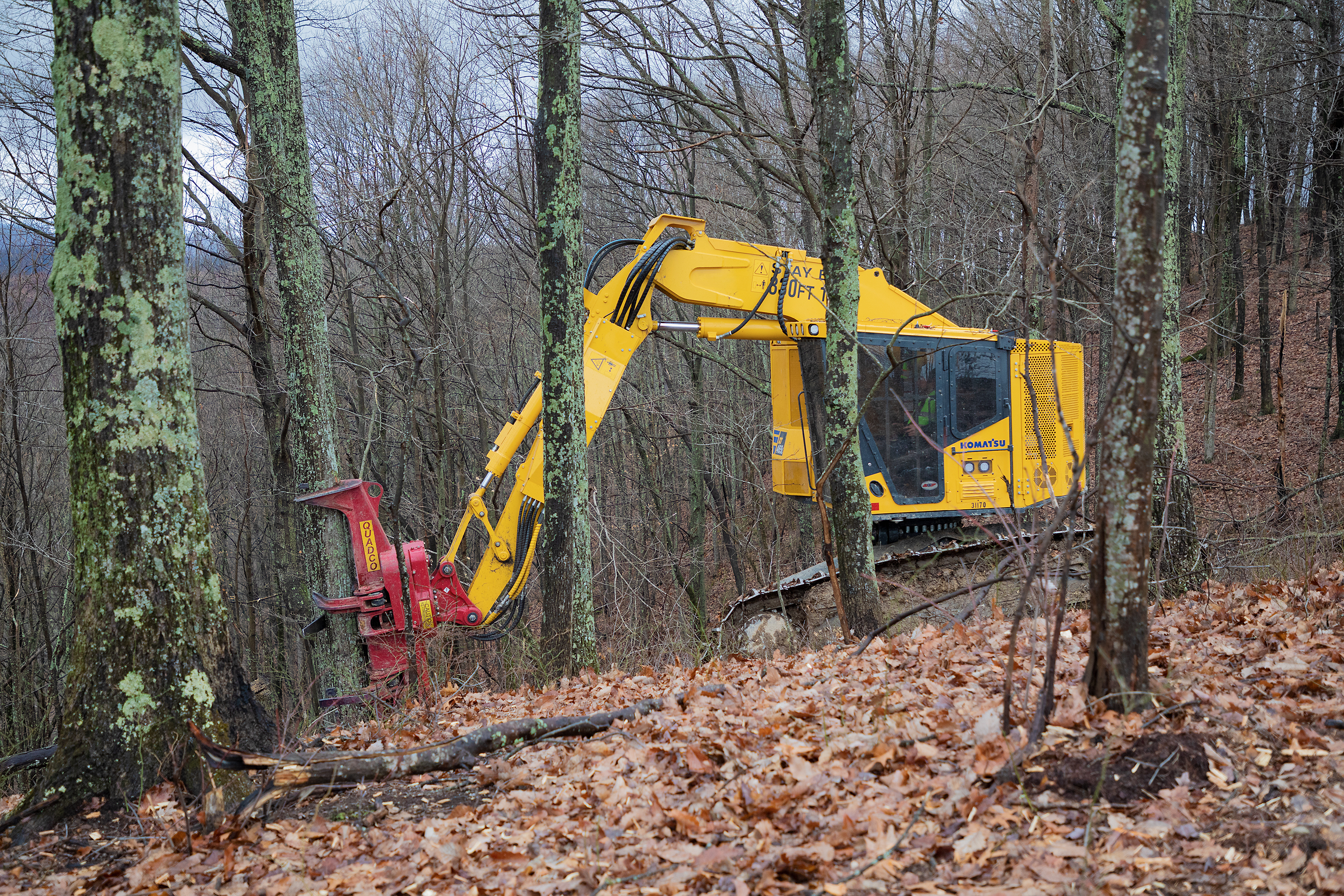 Track Feller Buncher_XT465L-5_Pineville KY_DS_200127_KOM_6165.jpg