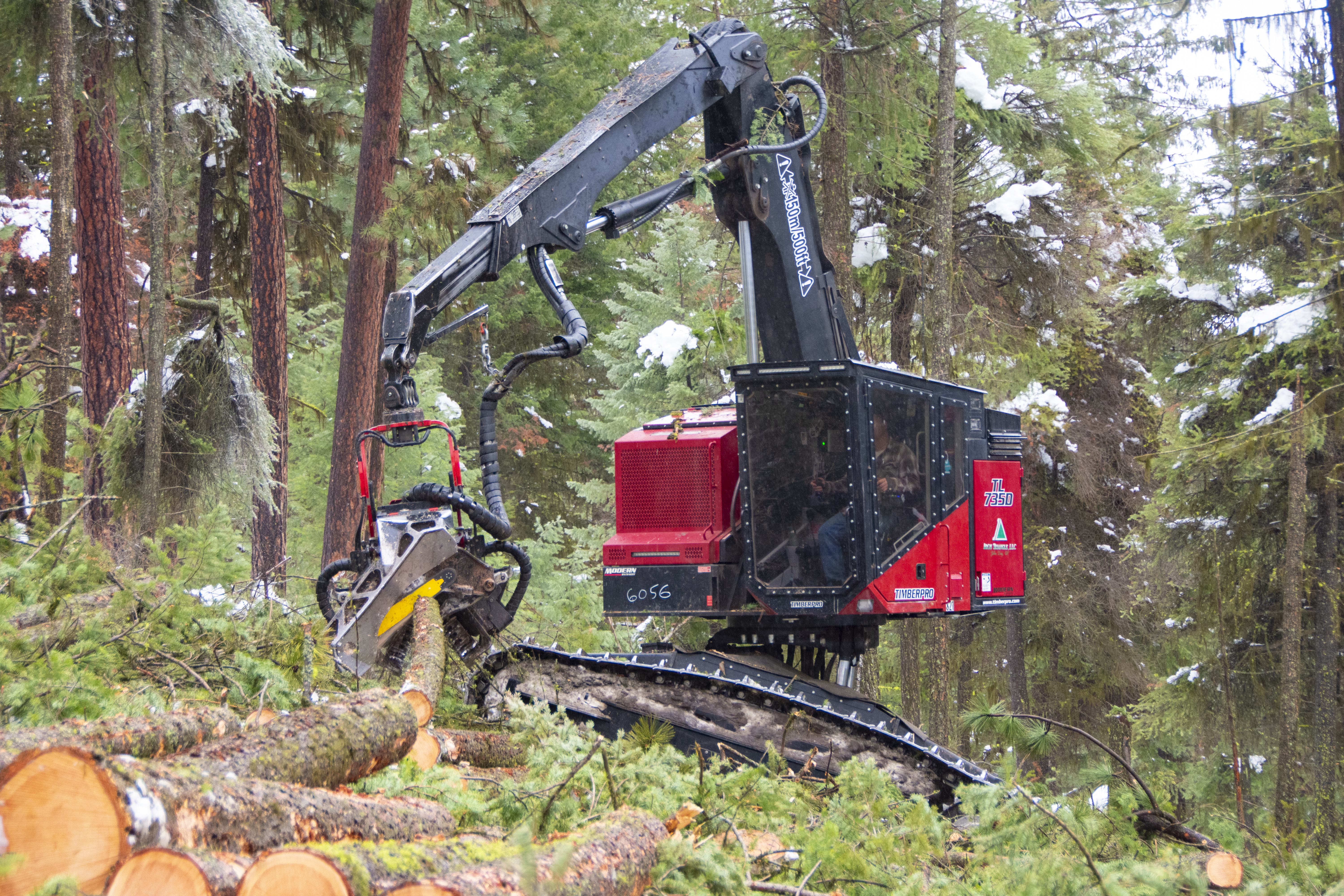 TimberPro, Forestry, snow