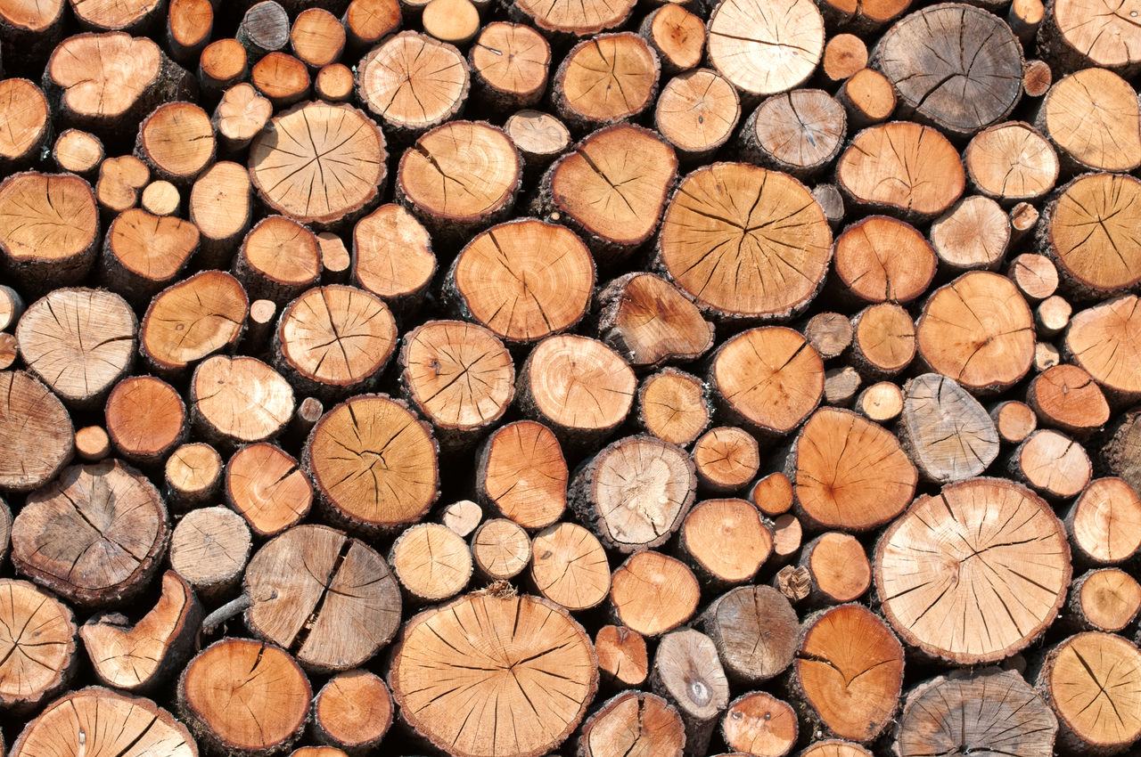 Forestry