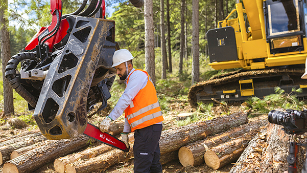 Forestry