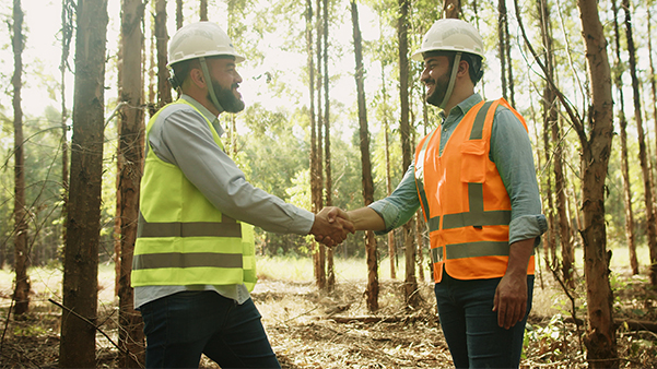 Preventiva Komatsu Forest planos