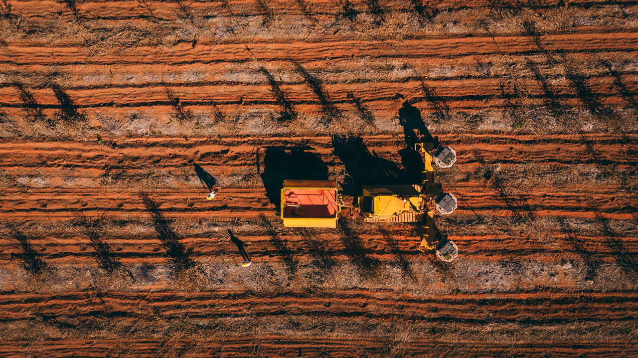 Agriculture and livestock industries