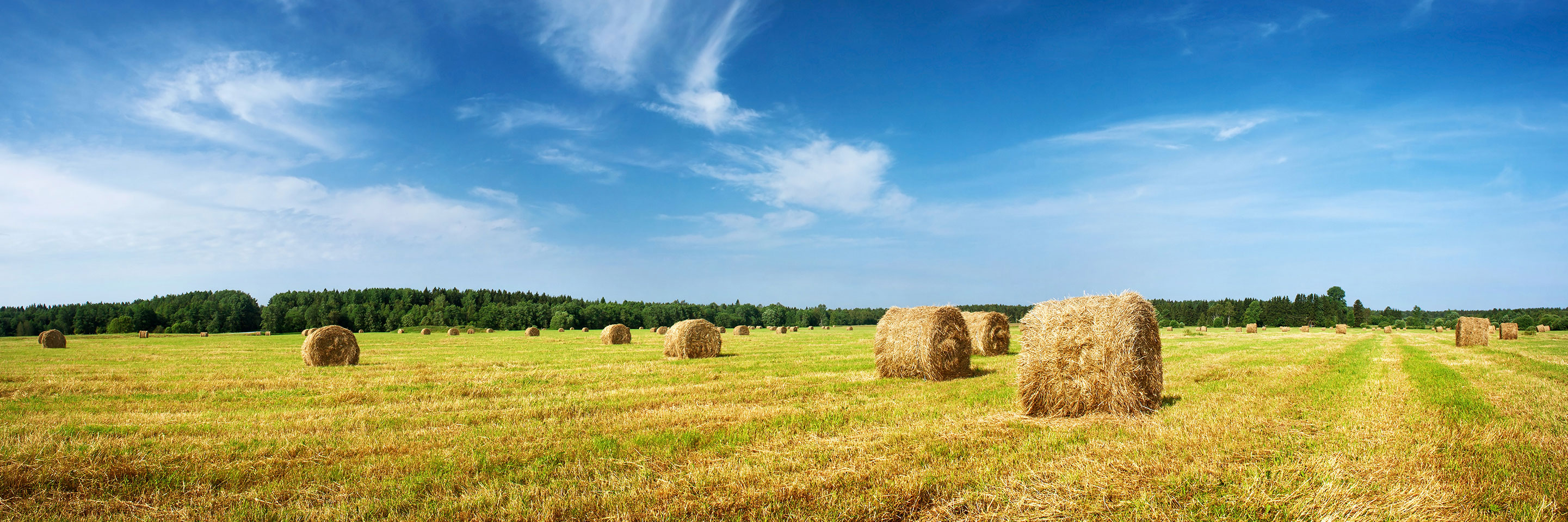 Agriculture