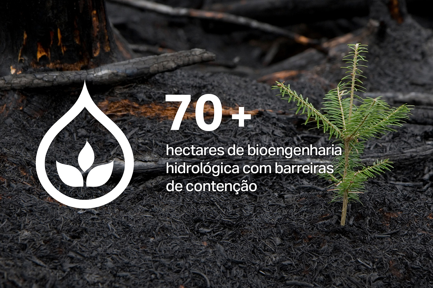 infographics_1440x960_ptbr3