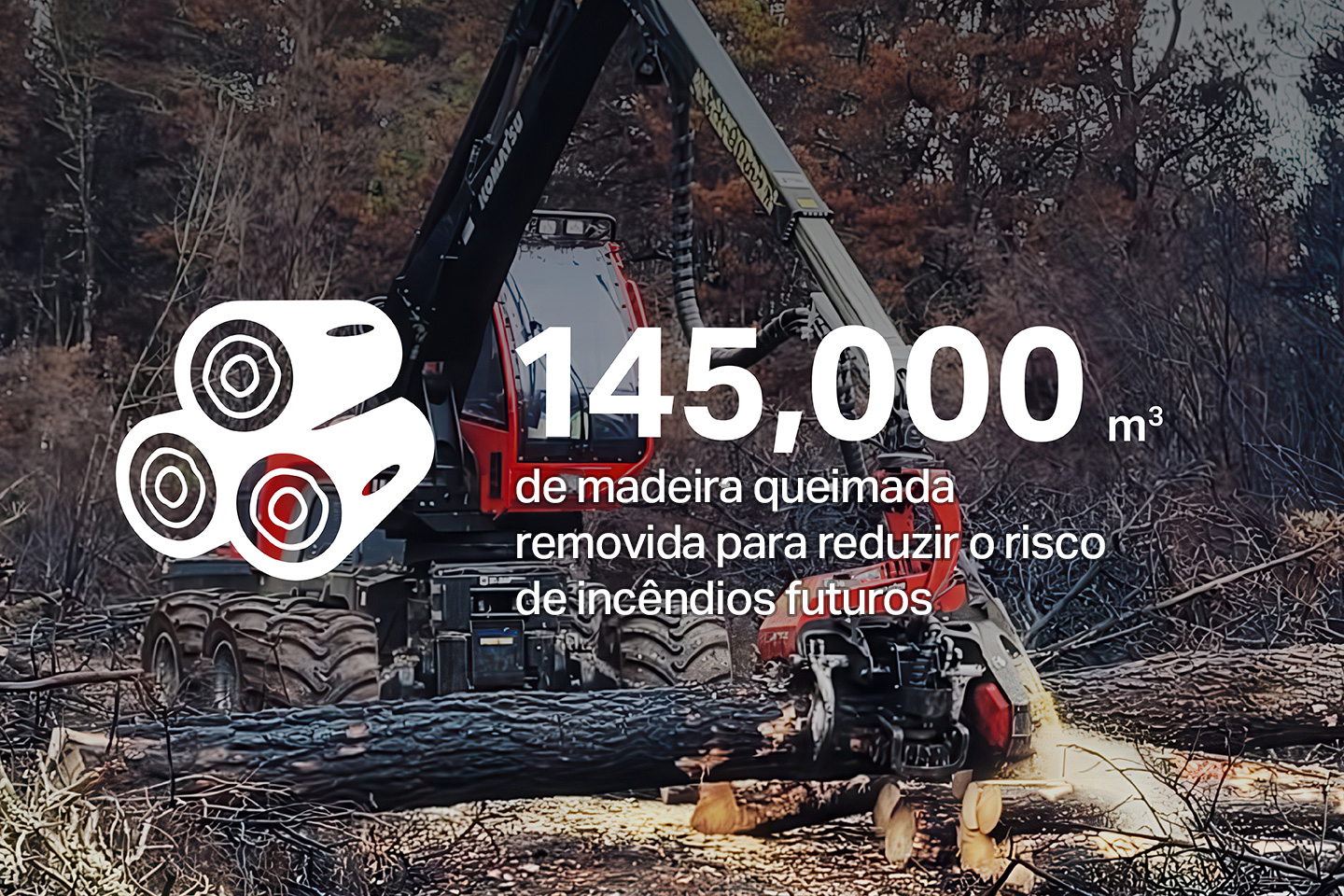 infographics_1440x960_ptbr4