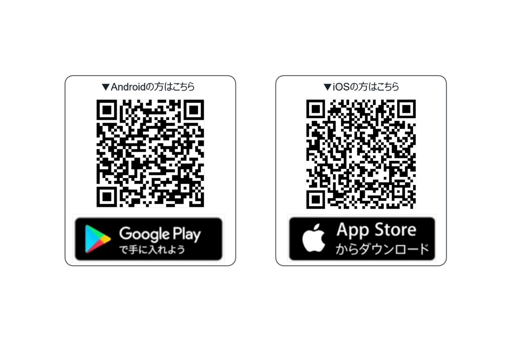 App download QR code