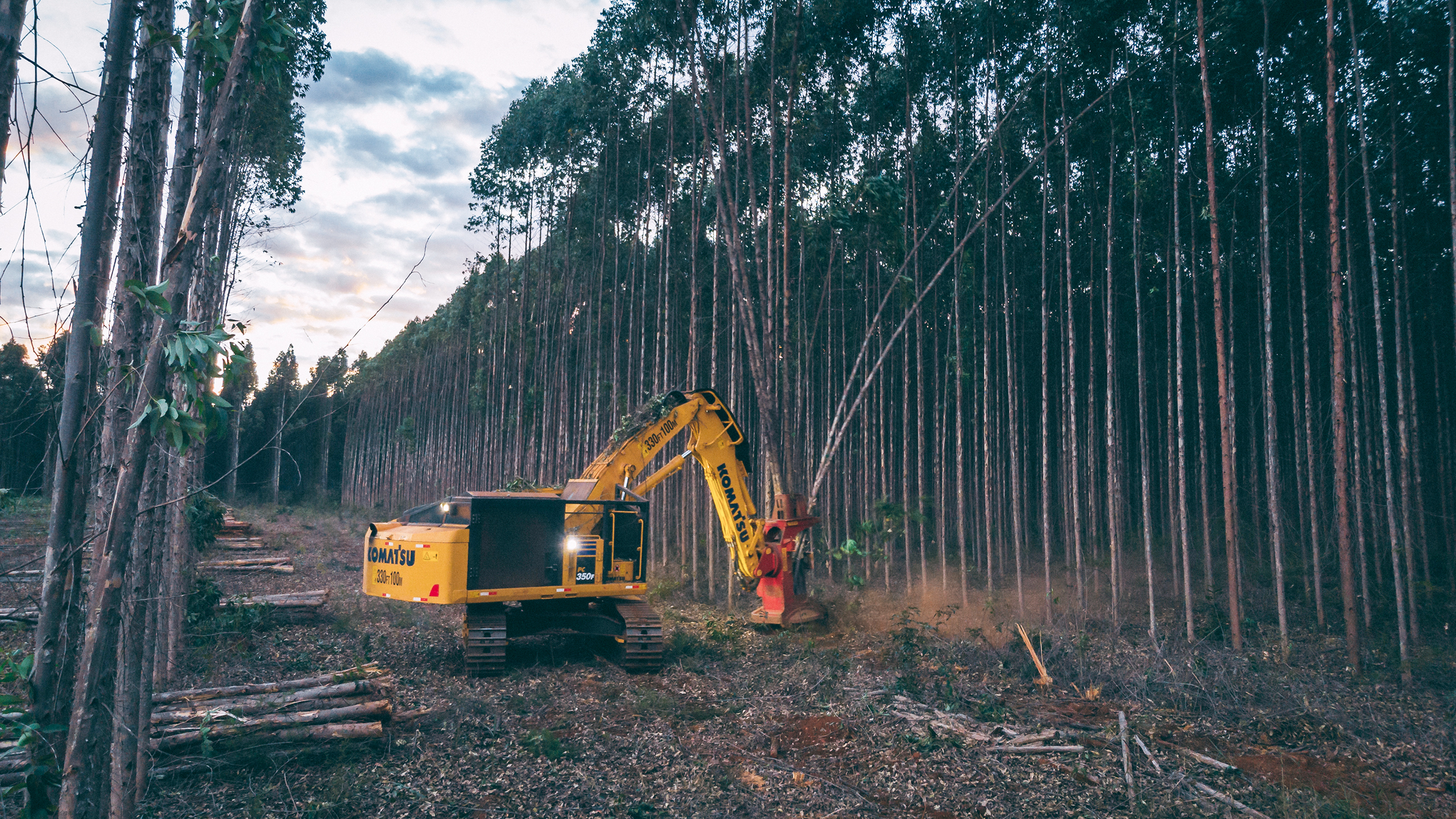 Tracked feller buncher