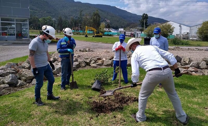 Planting