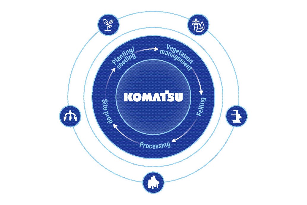 forestry lifecycle graphic