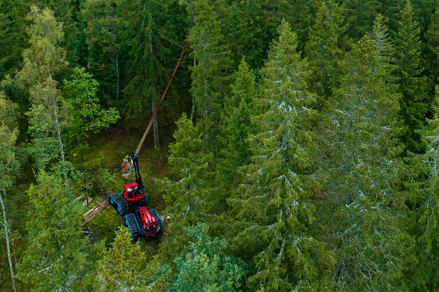 komatsu forestry focuses on sustainability