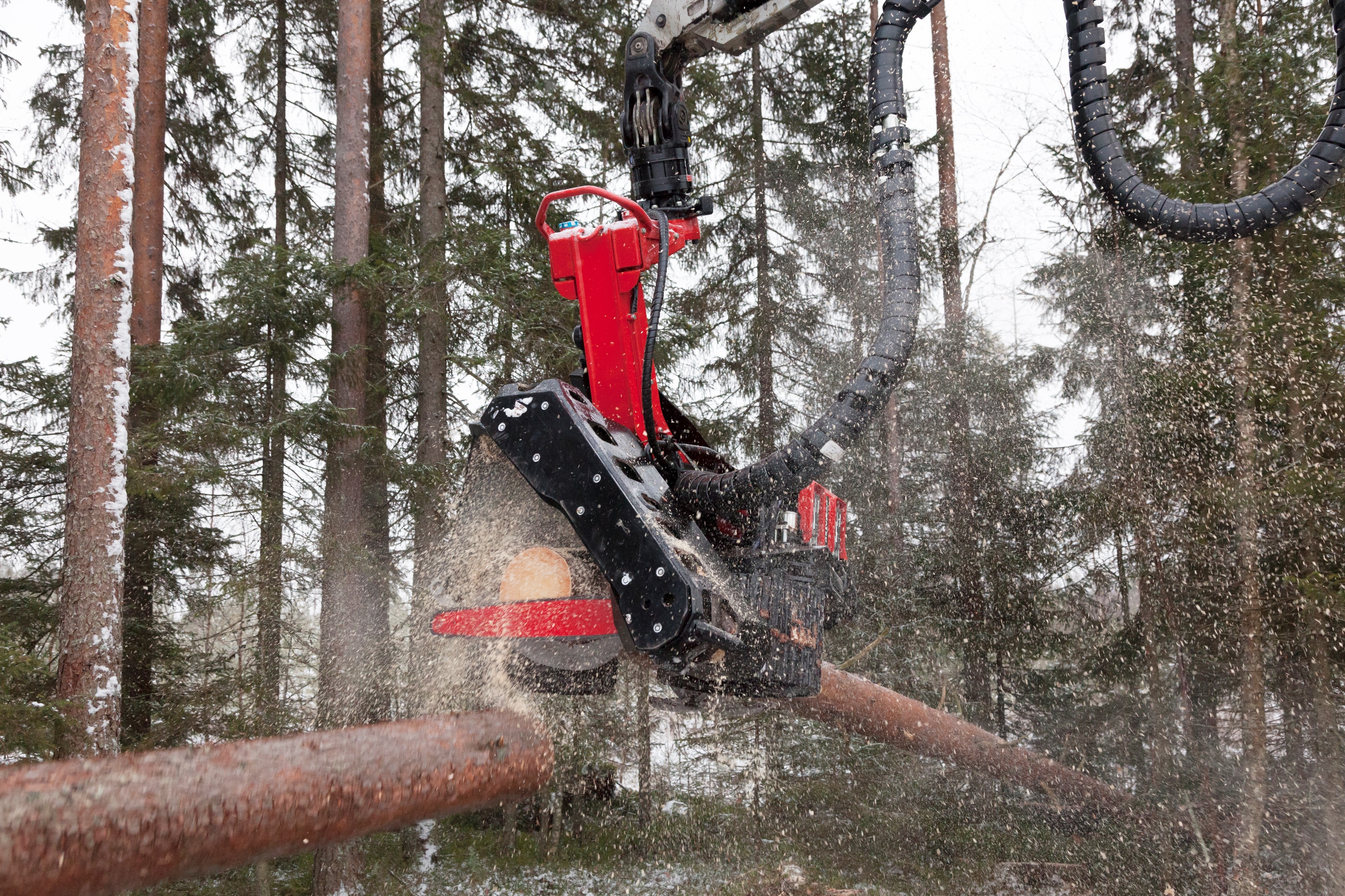 Designed for final felling