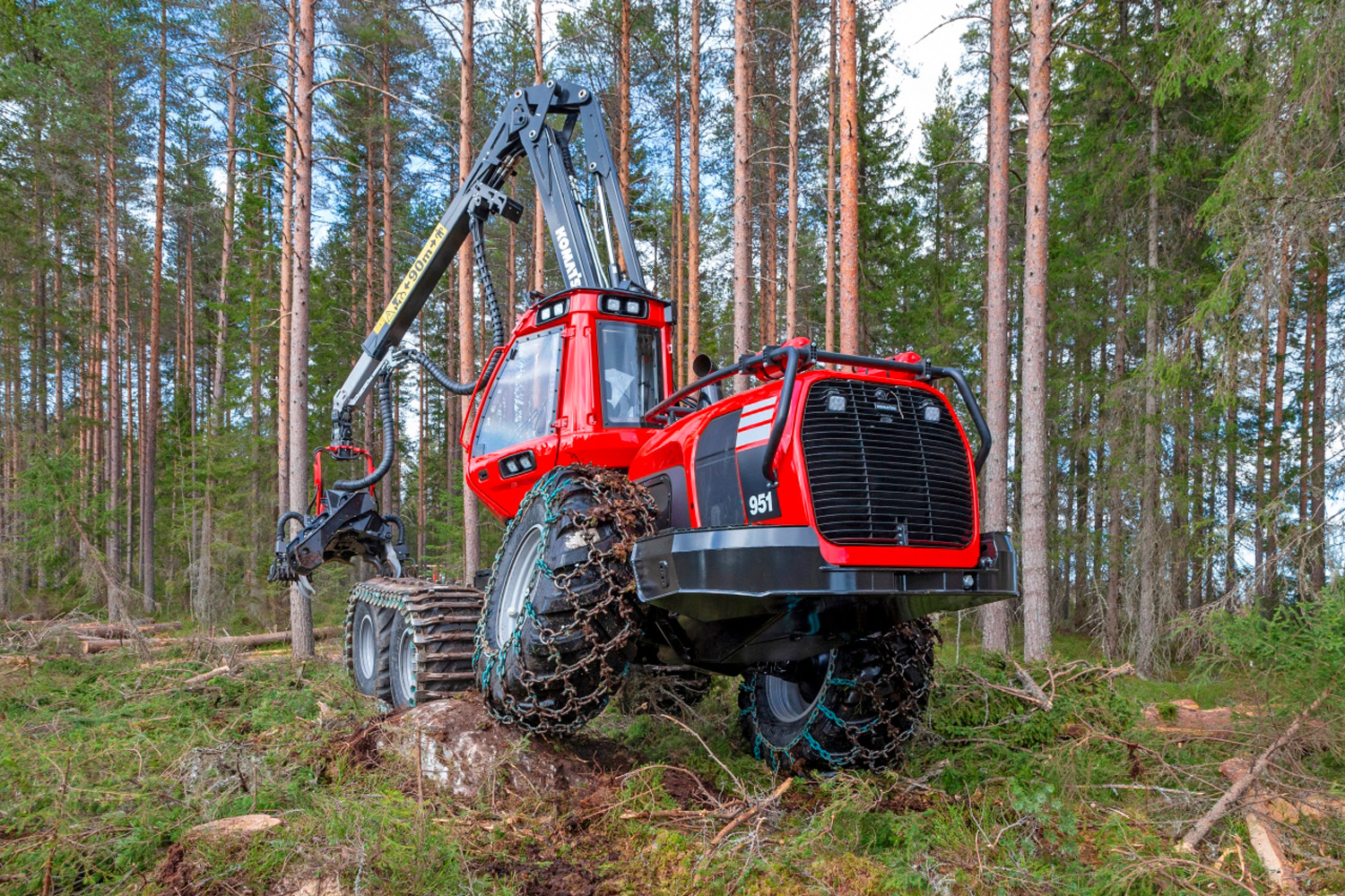Optimised for final felling