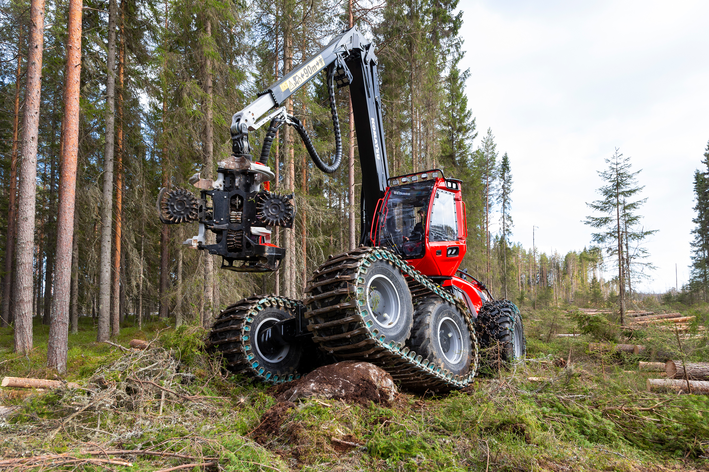 Optimised for final felling
