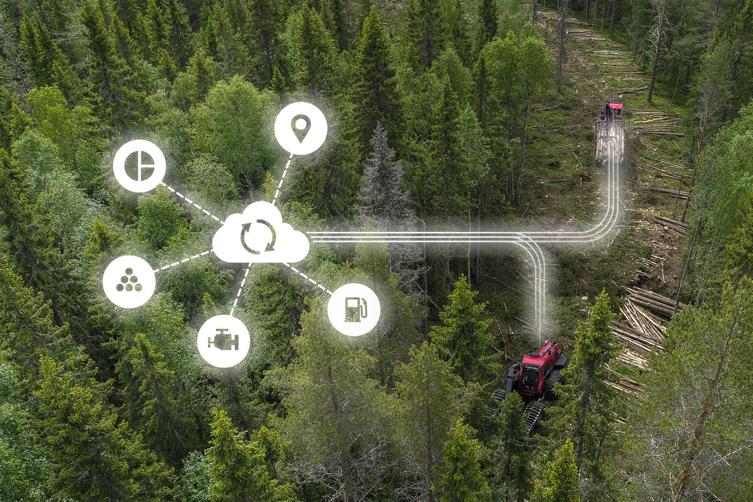 smart forestry planning perimeter