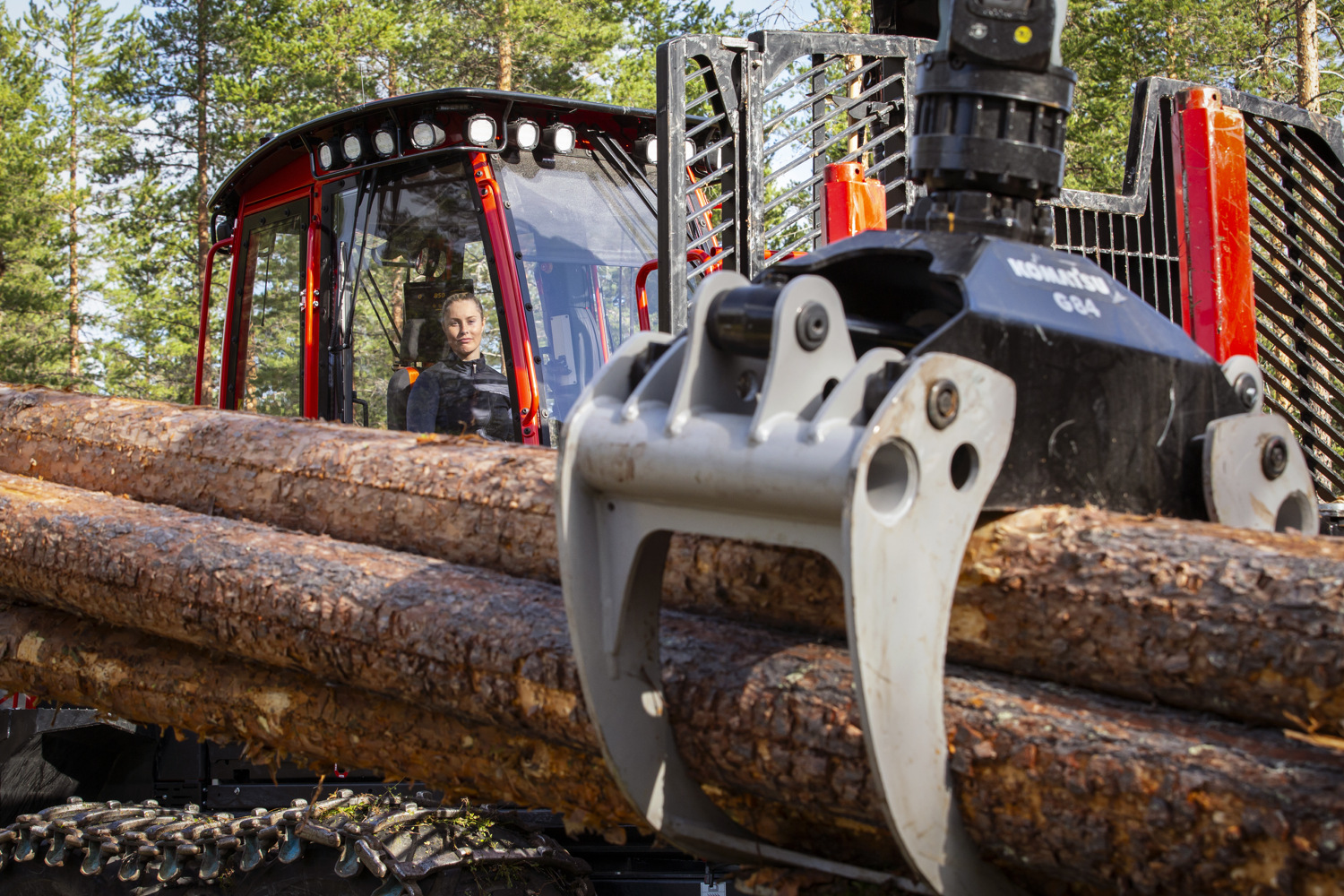 Handle timber like a pro