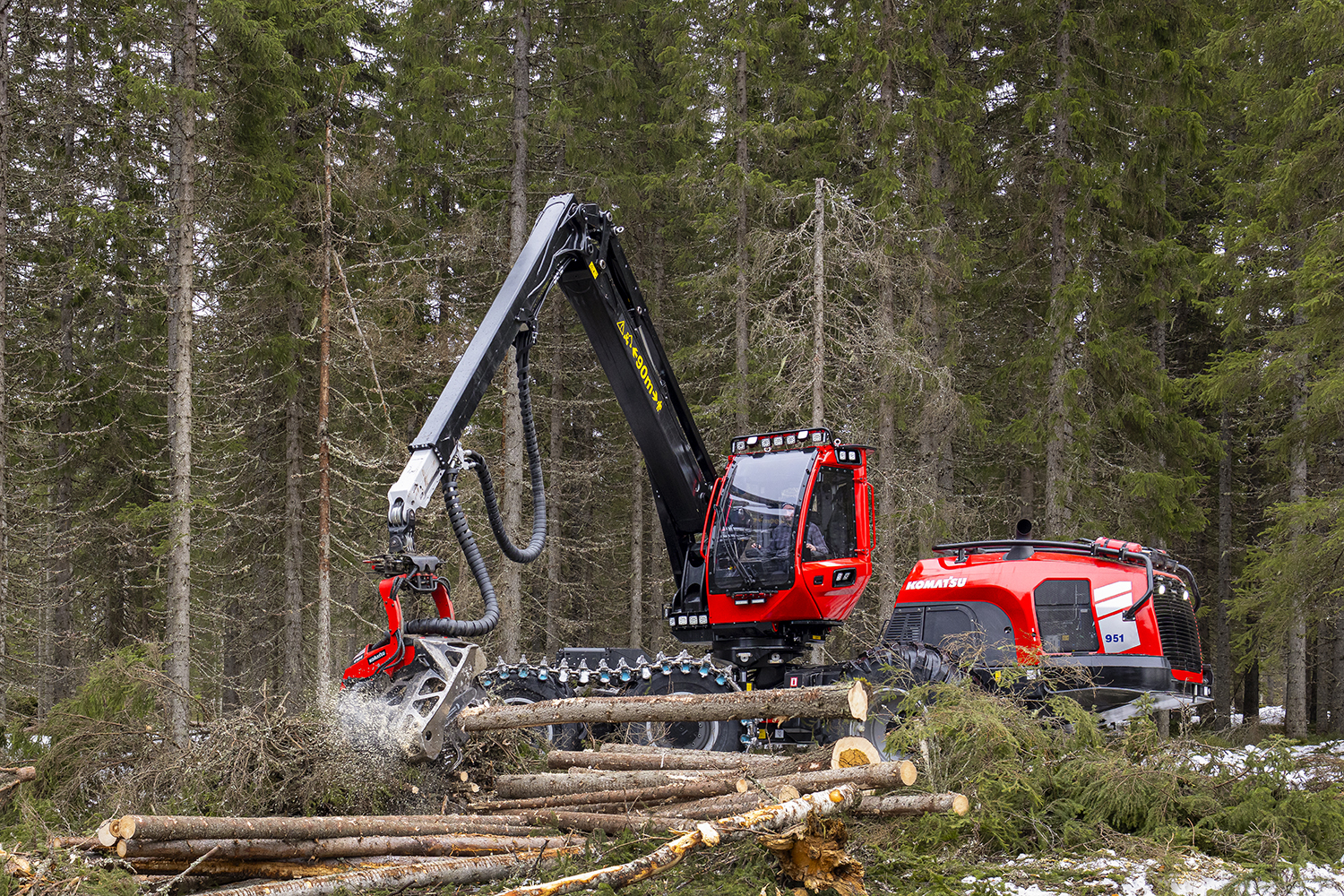 Optimised for final felling