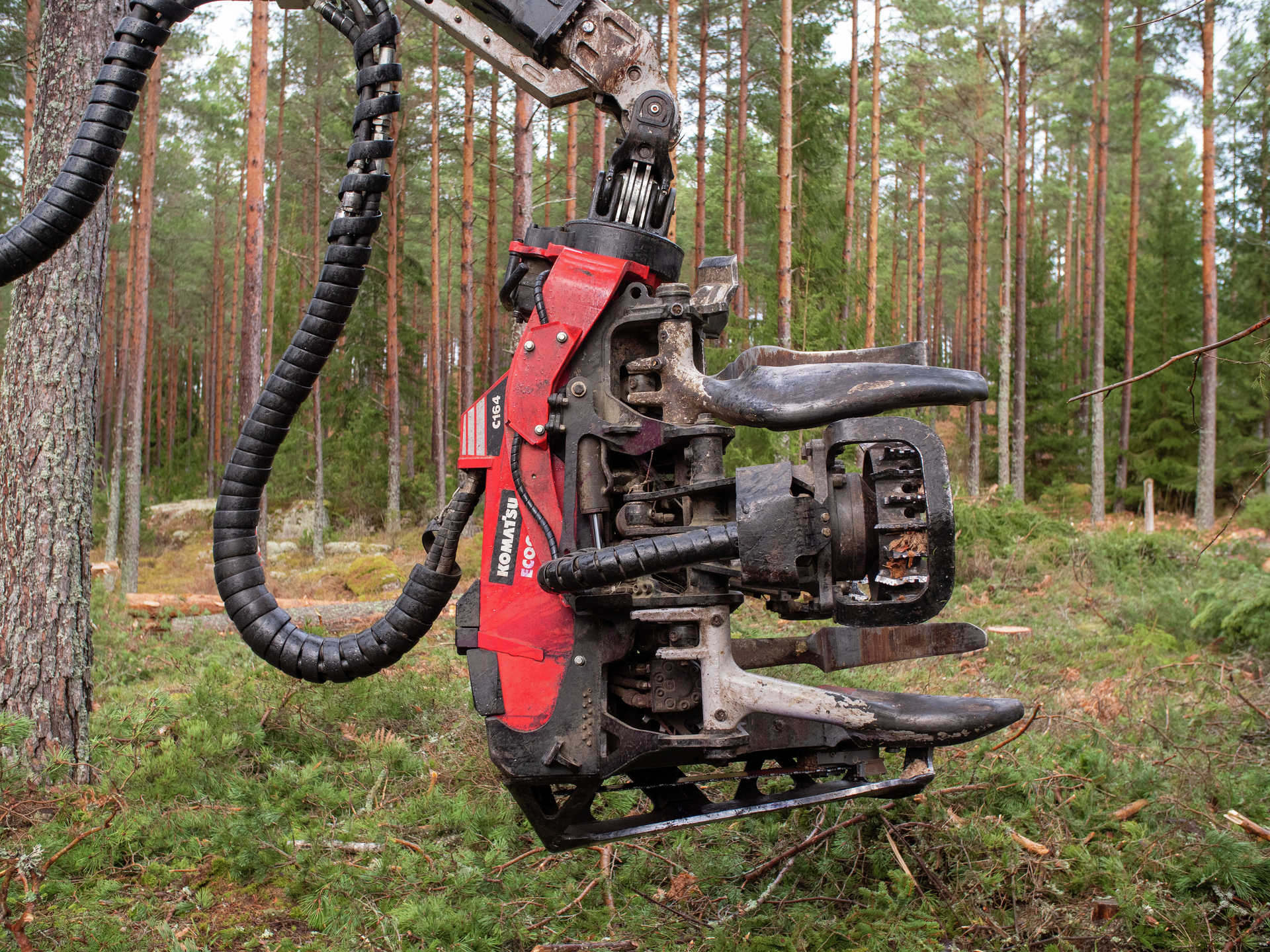 Options that help boost productivity