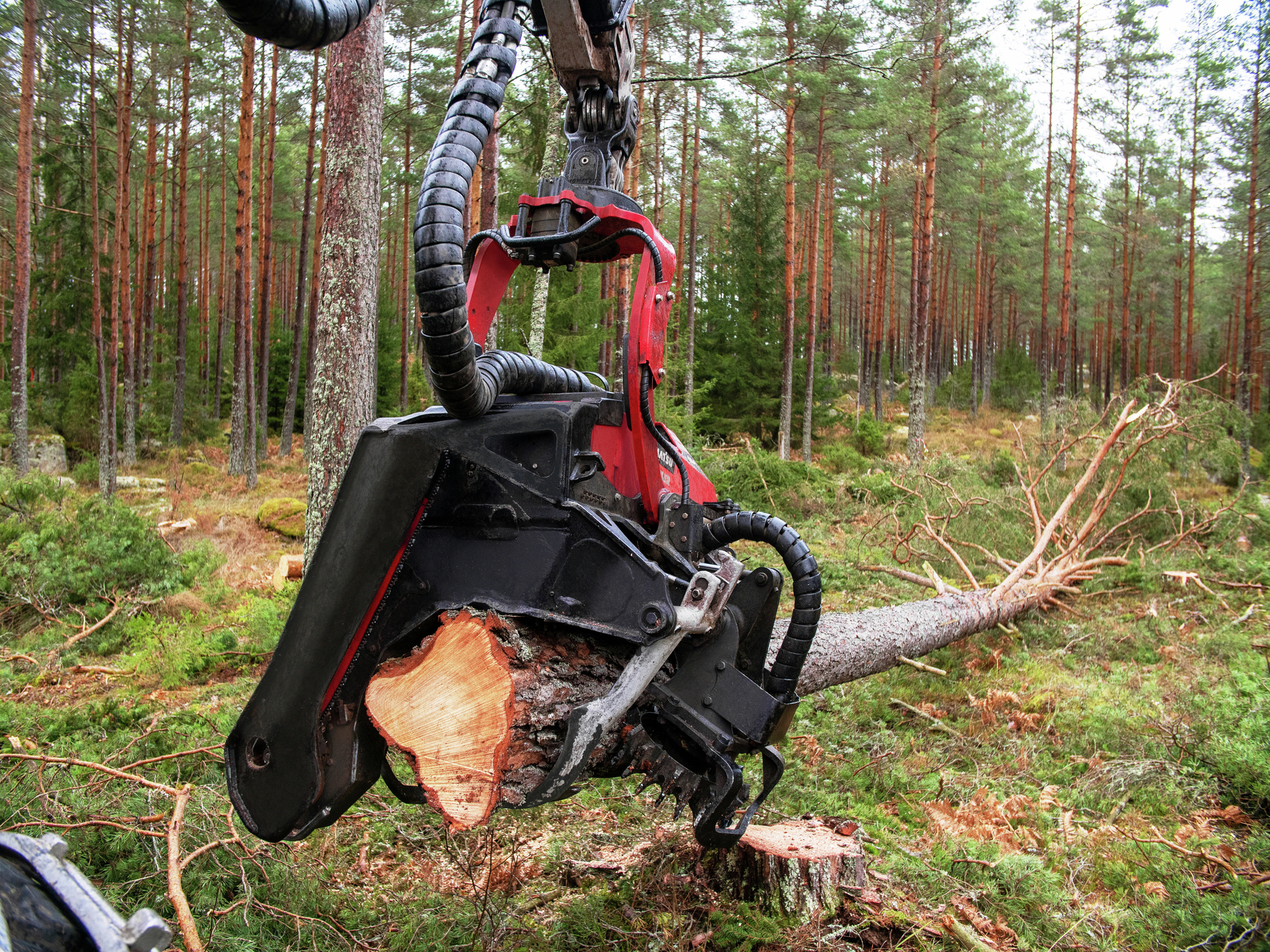 Upgraded cutting unit, Constant Cut