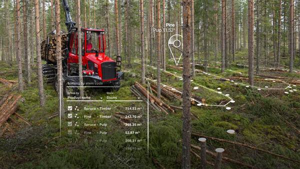 smart forestry