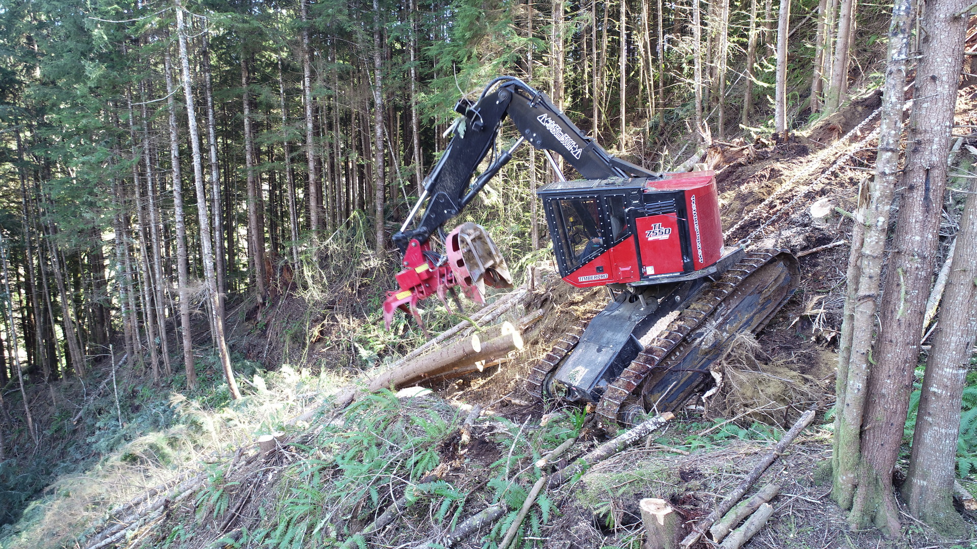 Forestry specific design