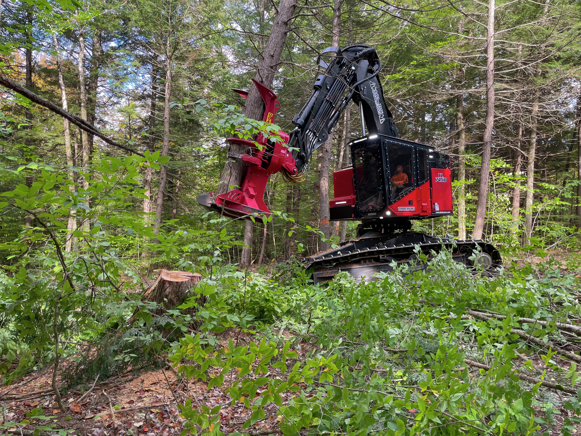 High lift capacity, big swing torque