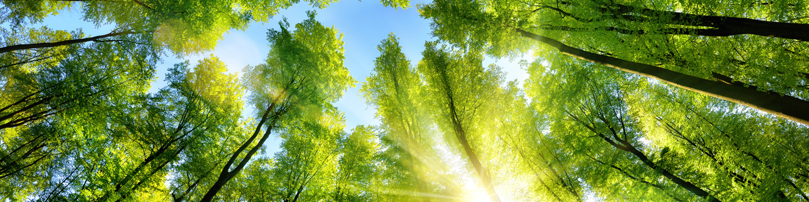 Green initiative banner