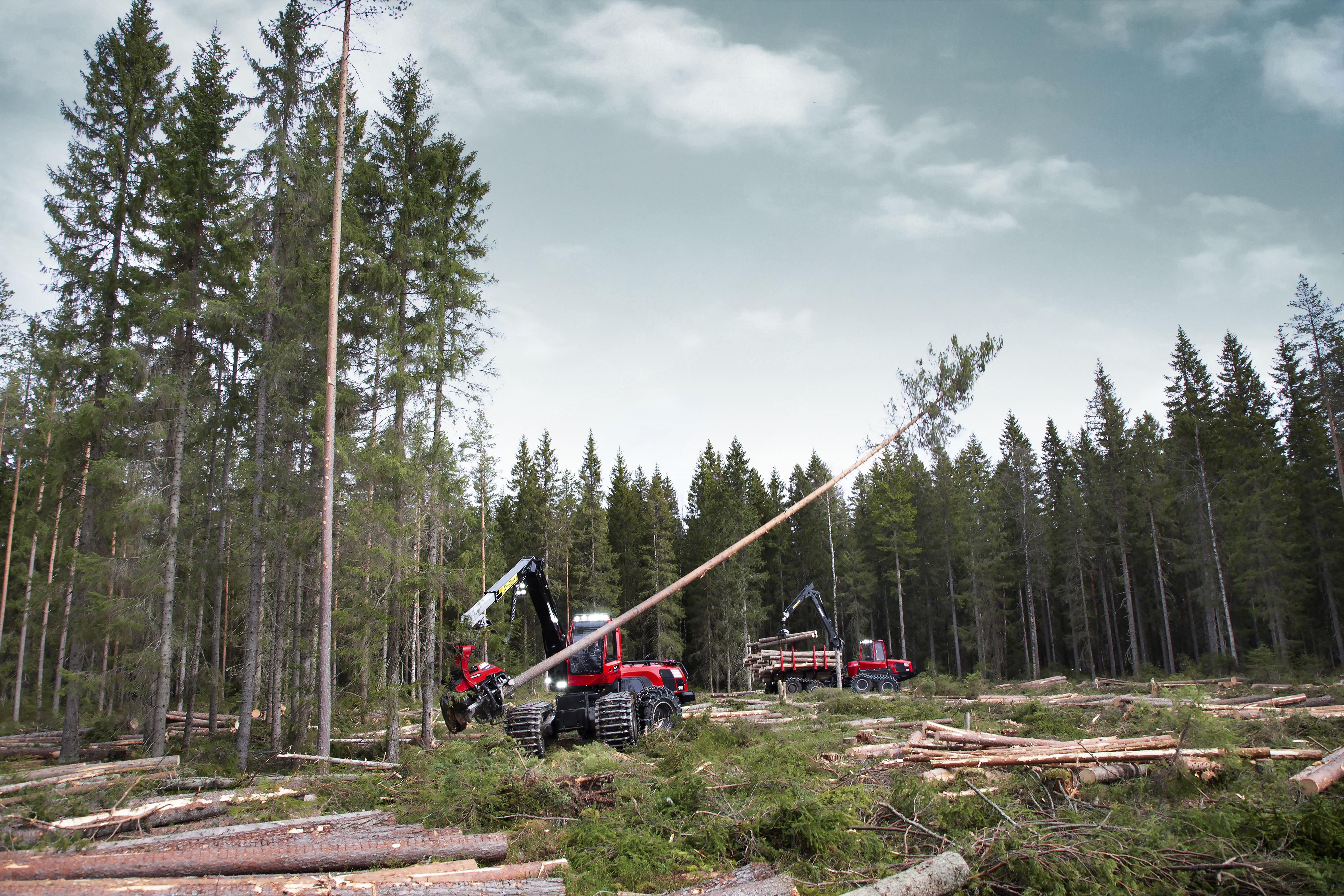 Forestry harvester clearing logs in a forest in winter