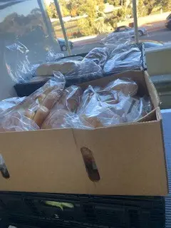 Bread in plastic bags inside of 2 boxes - oZHarvest