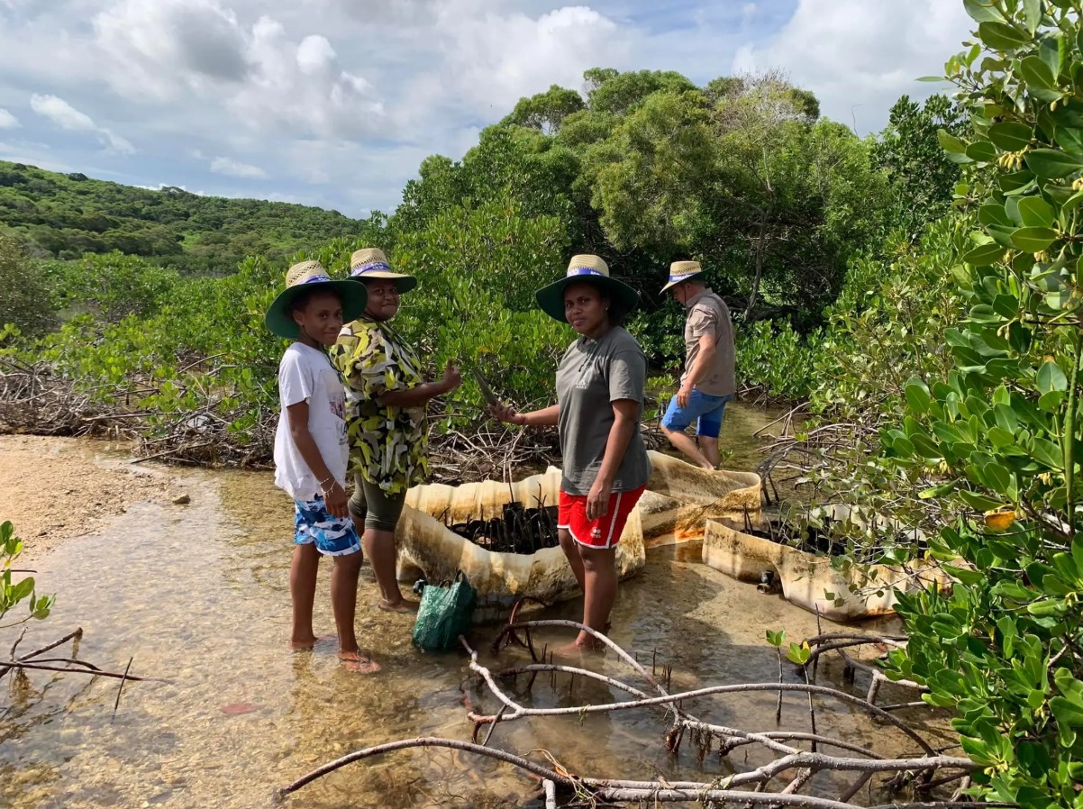 Komatsu's 'Live Your Dream' project helps save wetland area in New Caledonia