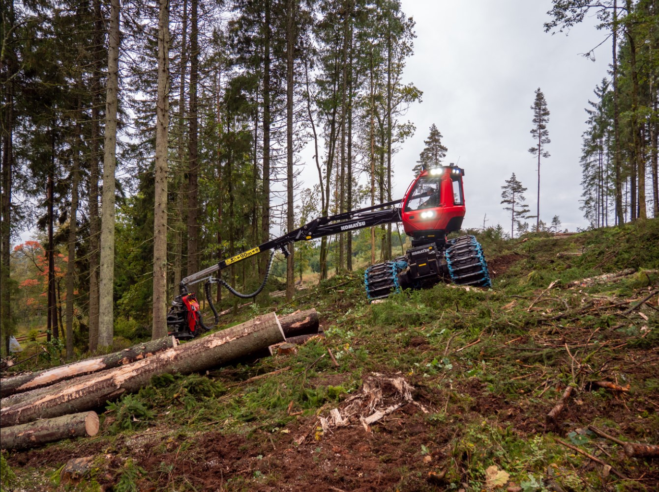 Forestry machine cutting logs in forest