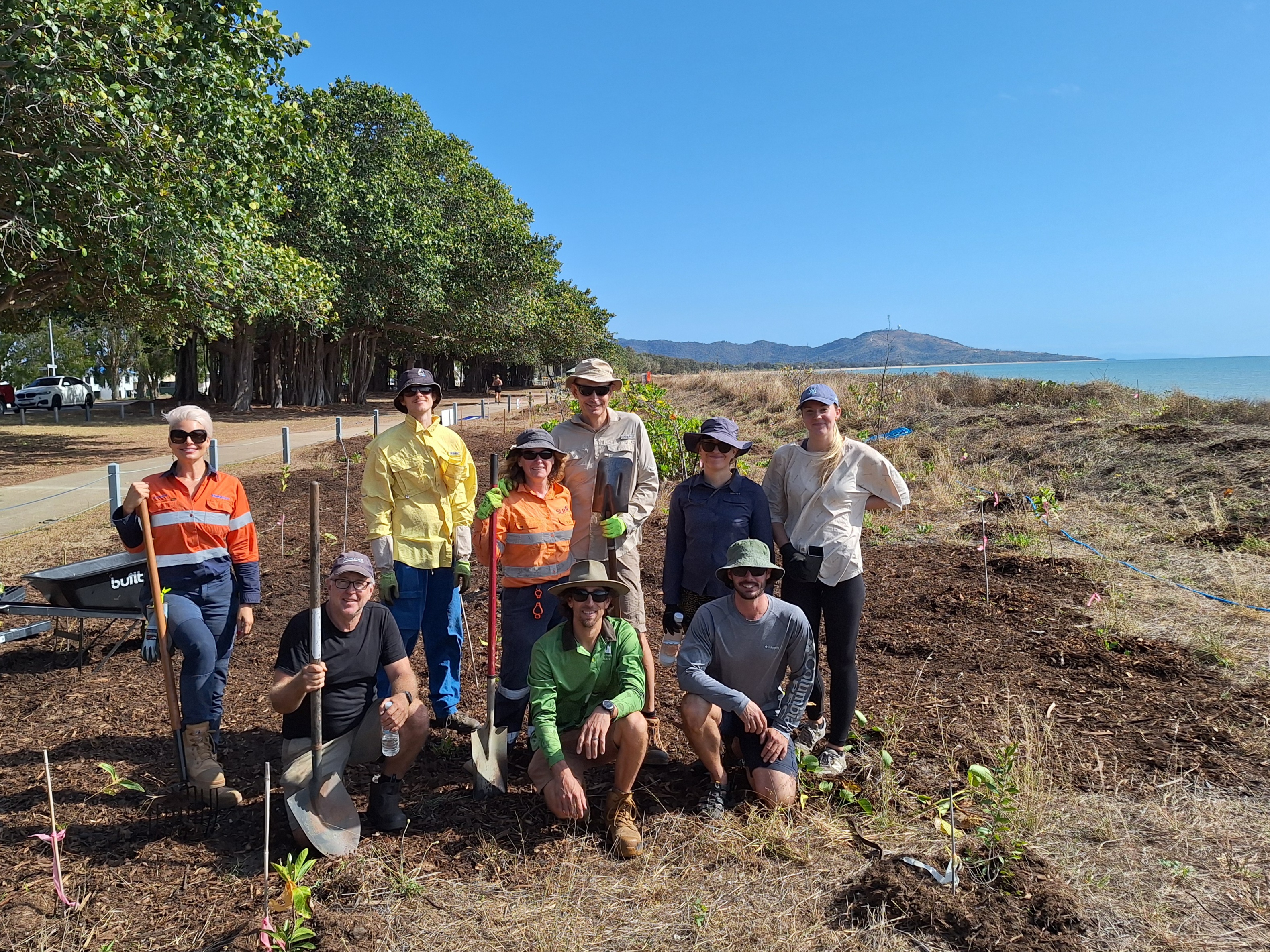 Group of people volunteering in a coastal environmental cleanup, planting trees under a clear blue sky.