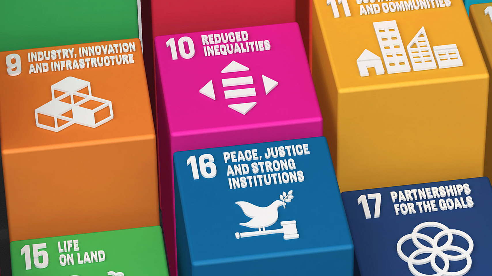 management sustainability